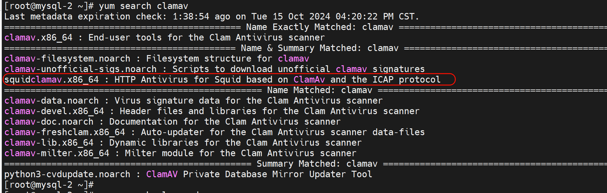 image-20241015180004958