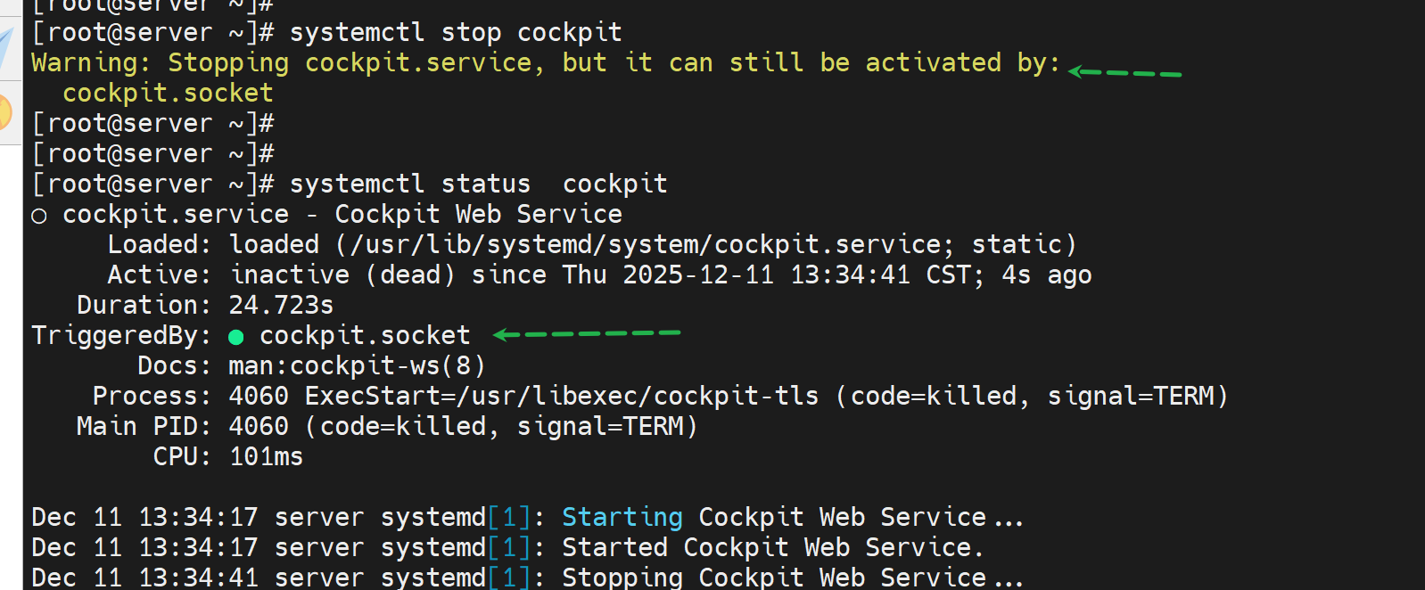 image-20251211133516235