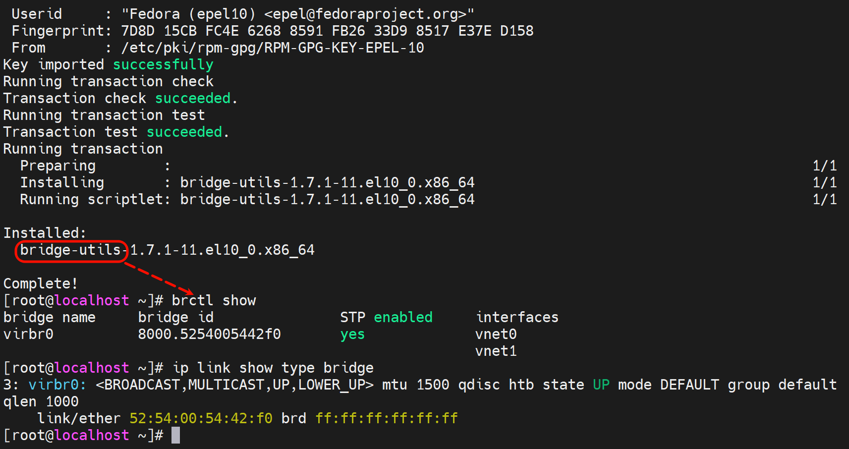 image-20251218114230824