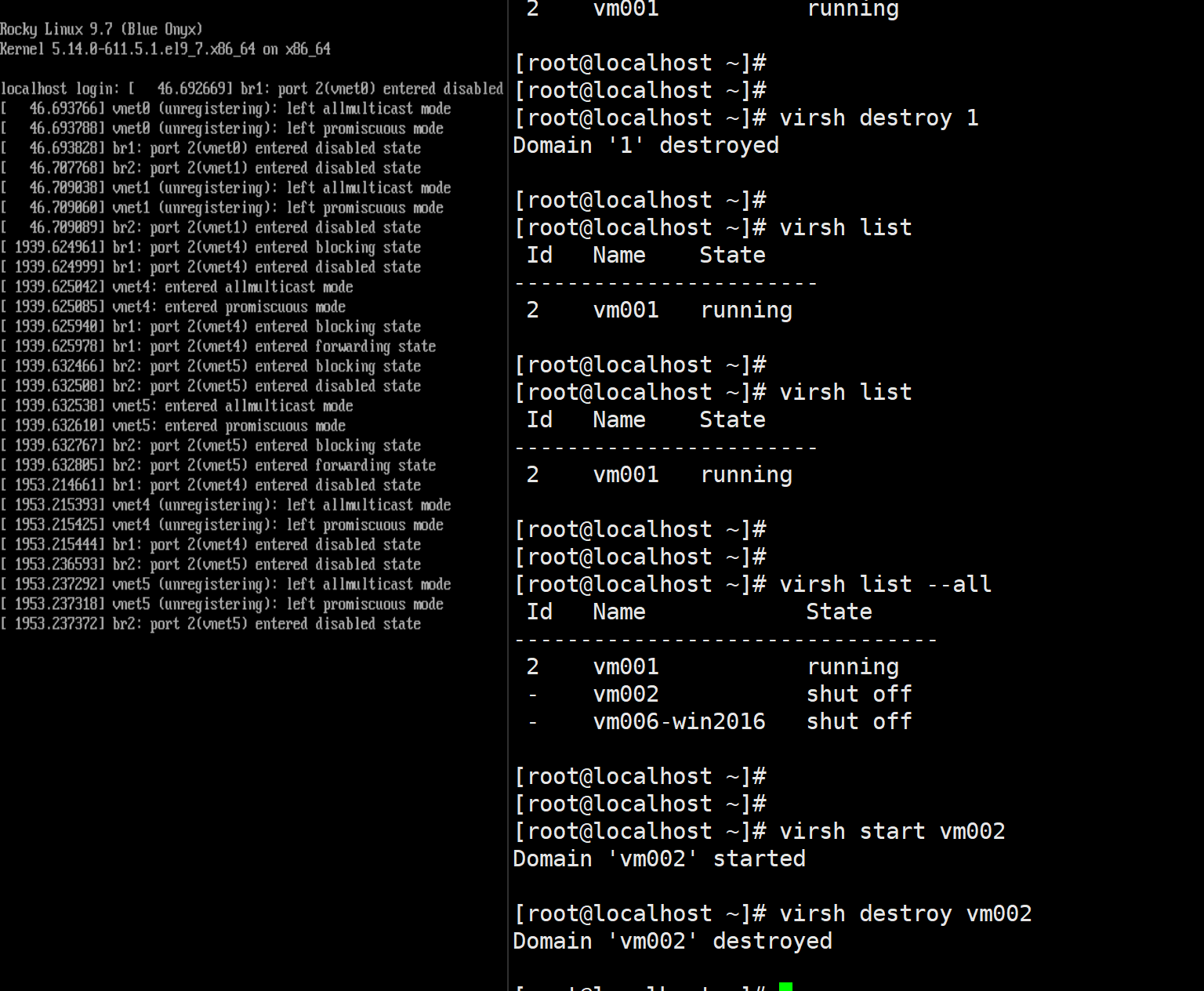 image-20260107182209032