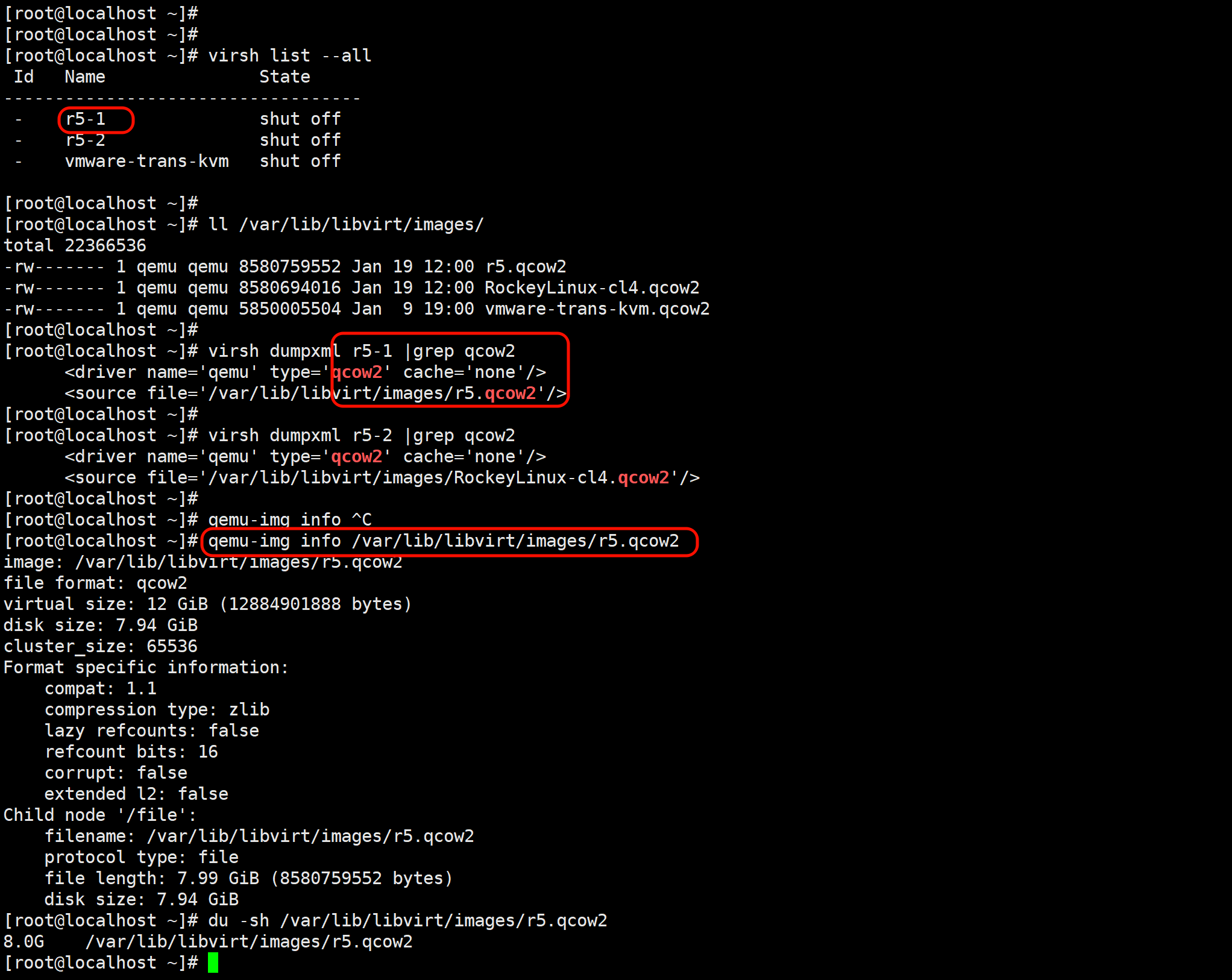 image-20260121100025138