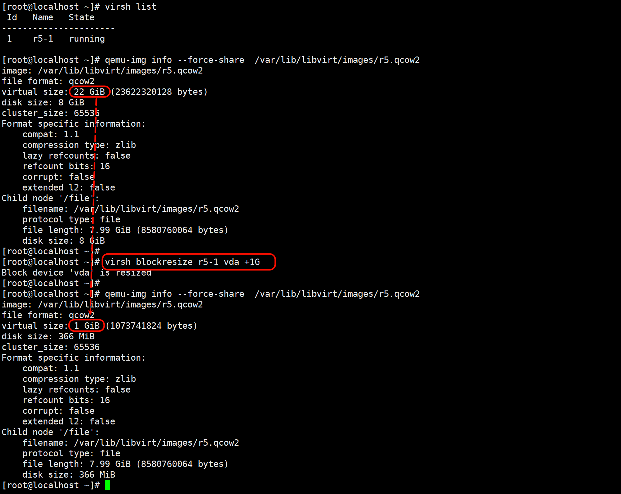 image-20260121110357863