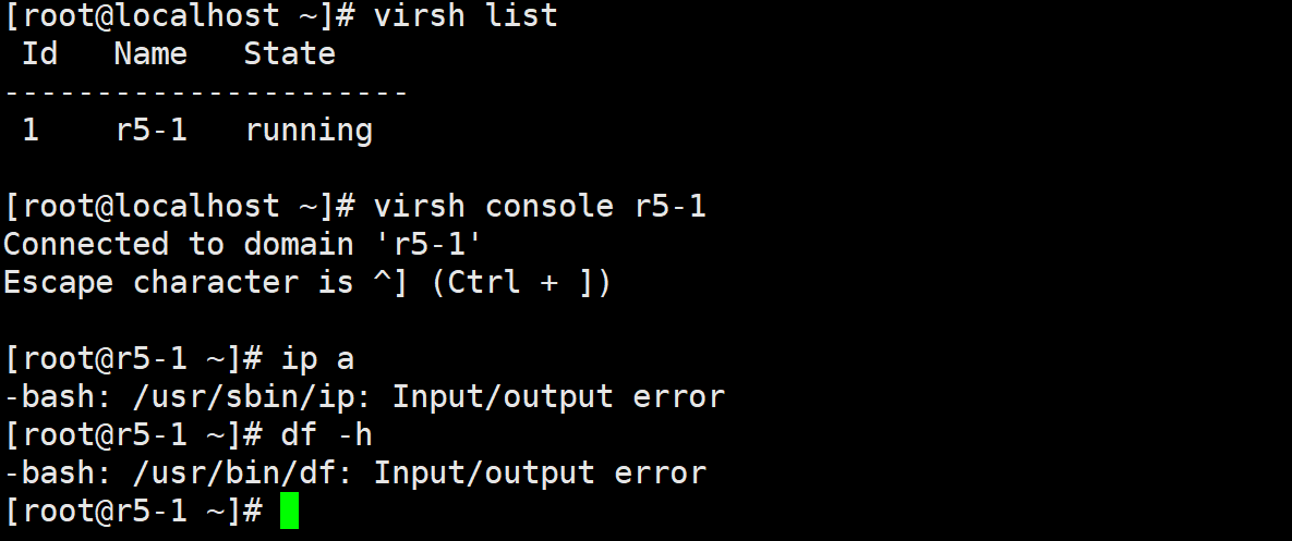 image-20260121110425654