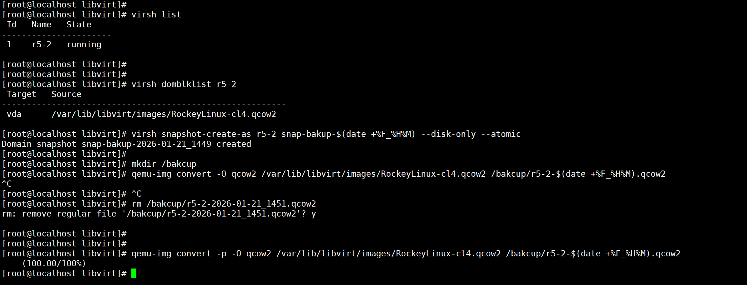 image-20260121145309340