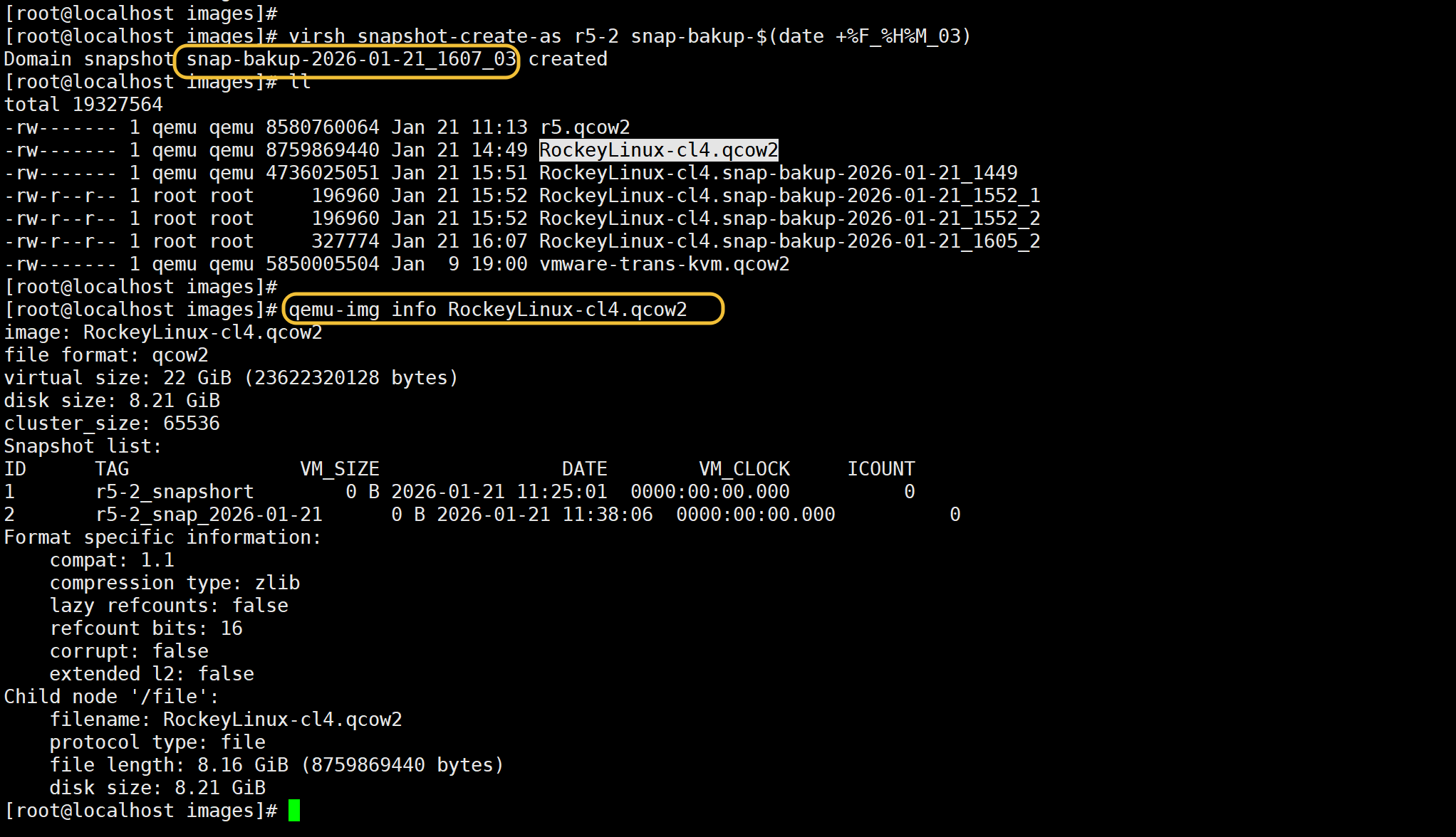 image-20260121160832135