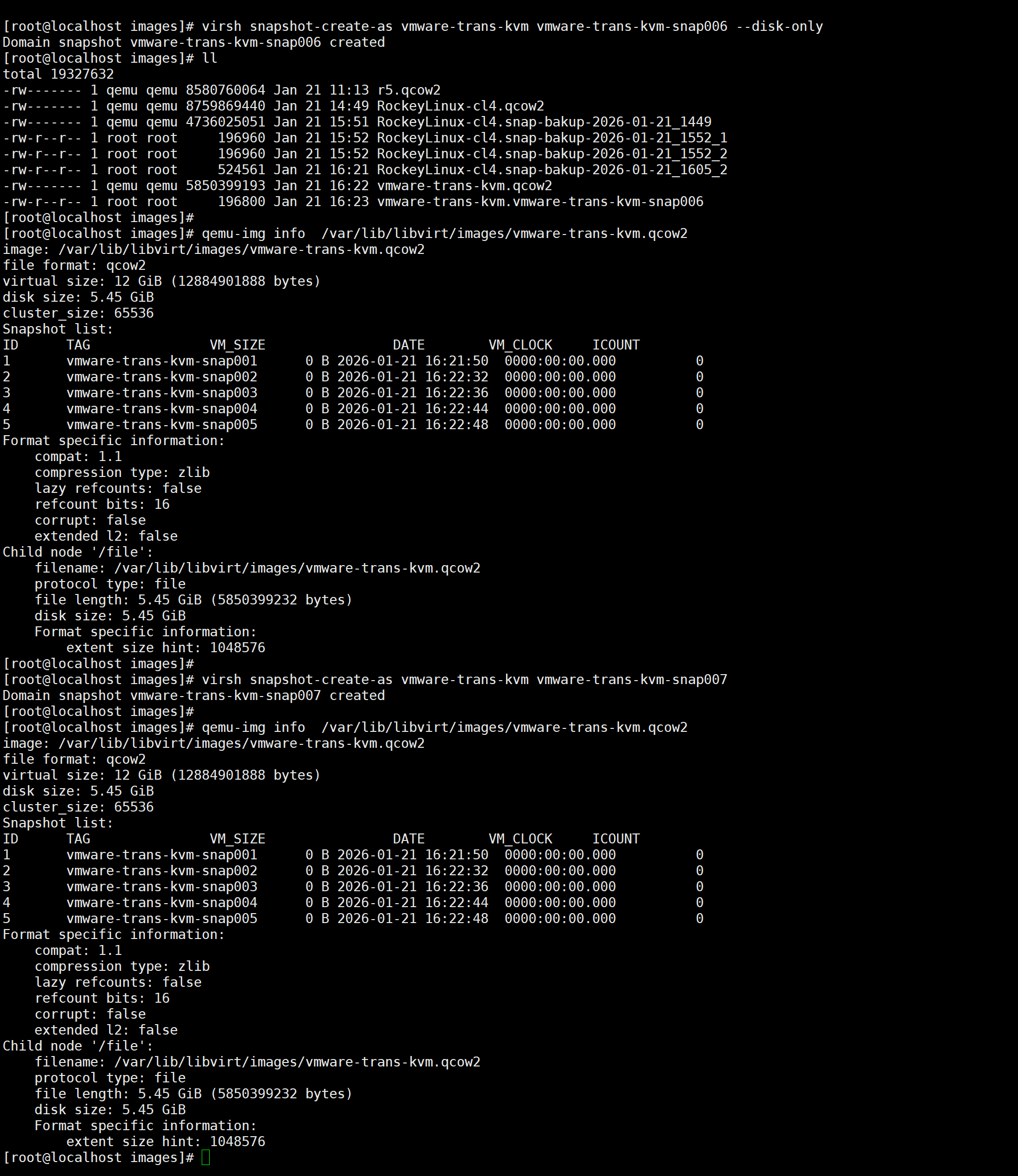 image-20260121162518835