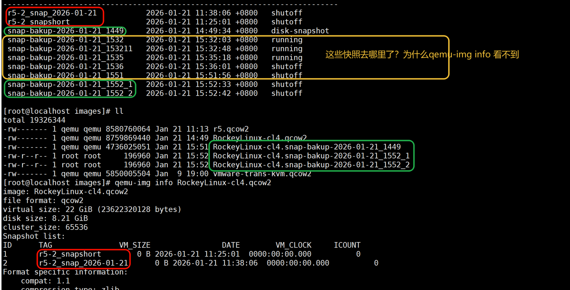 image-20260121162827212