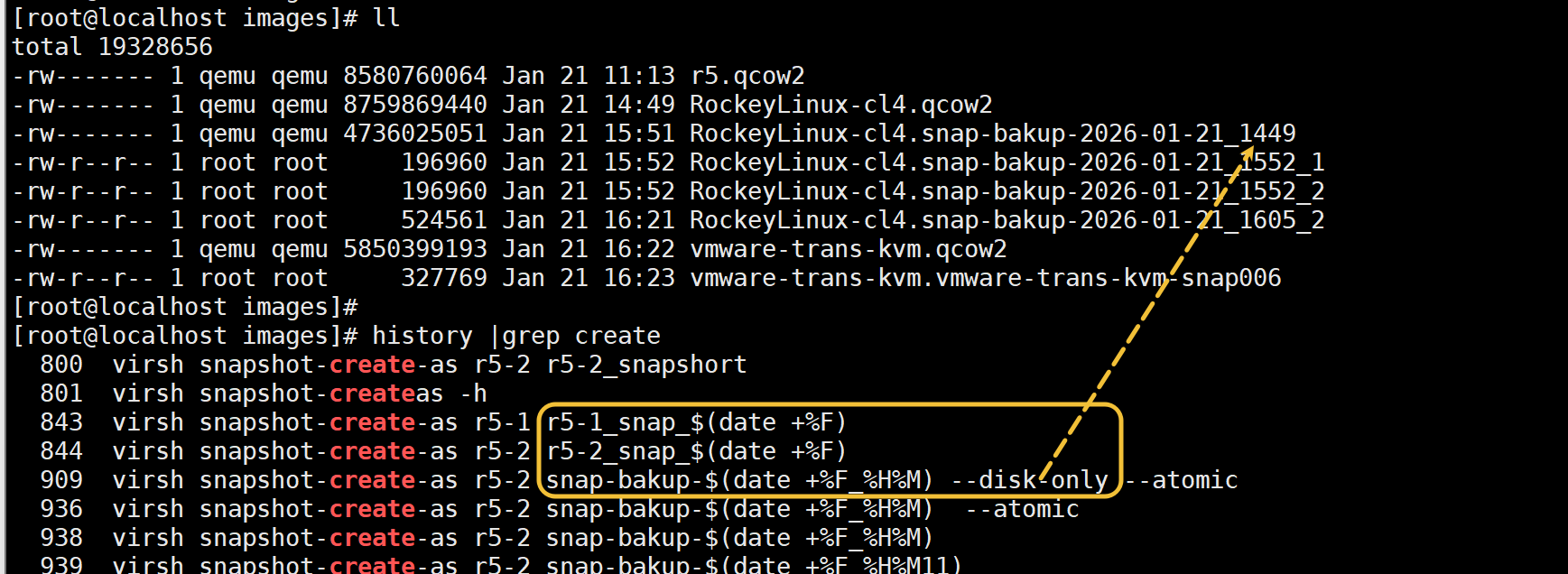 image-20260121163558405