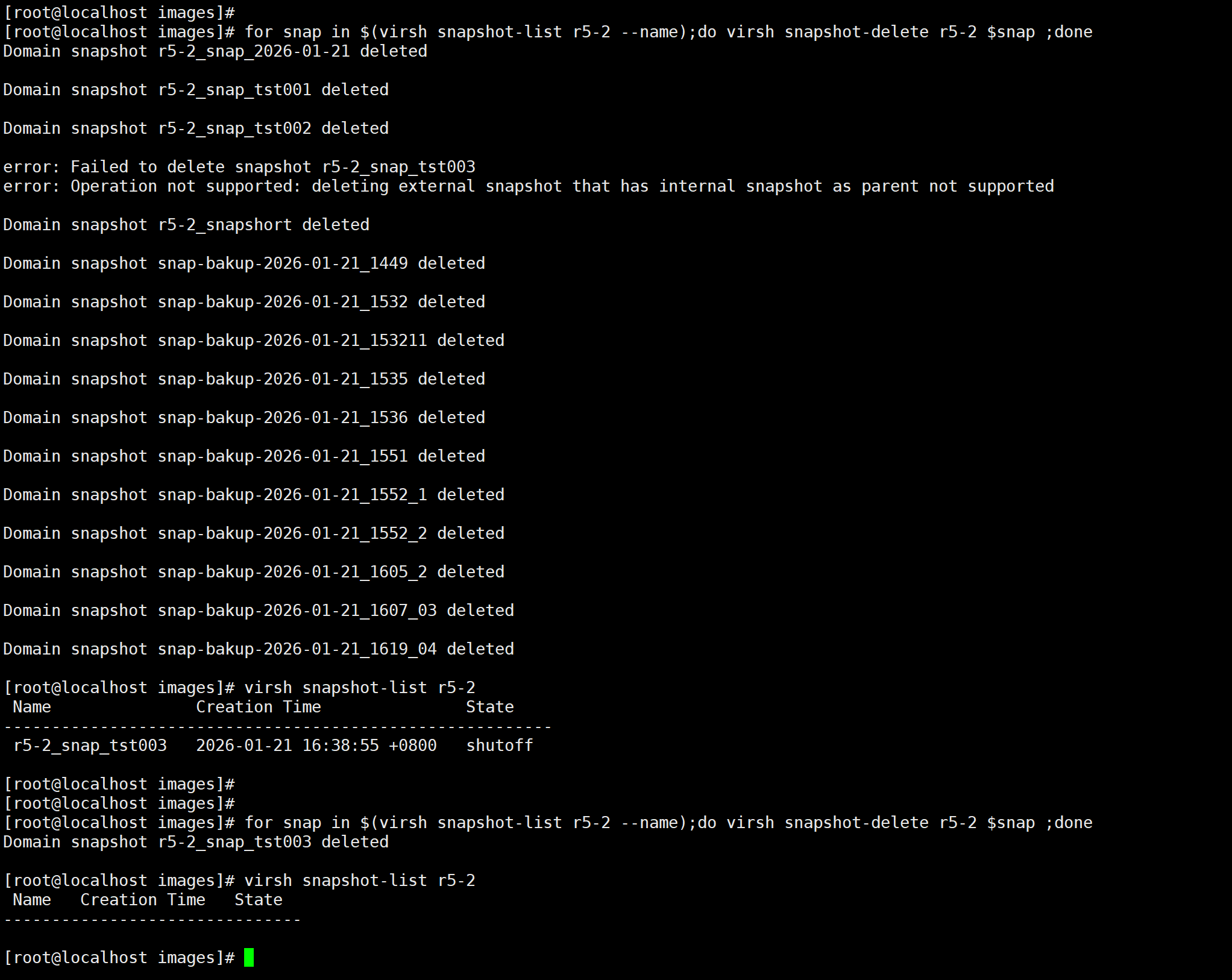 image-20260121165734256