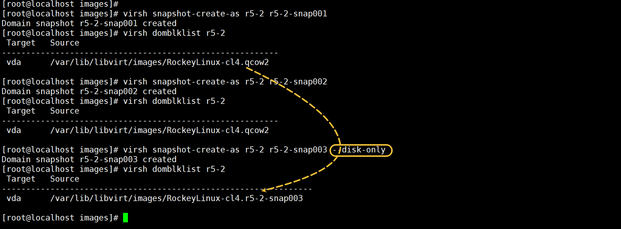 image-20260121165920678