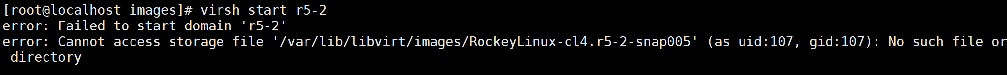 image-20260121174206663