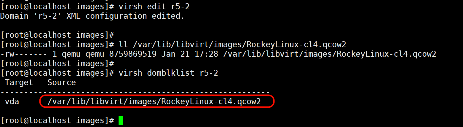 image-20260121174451805