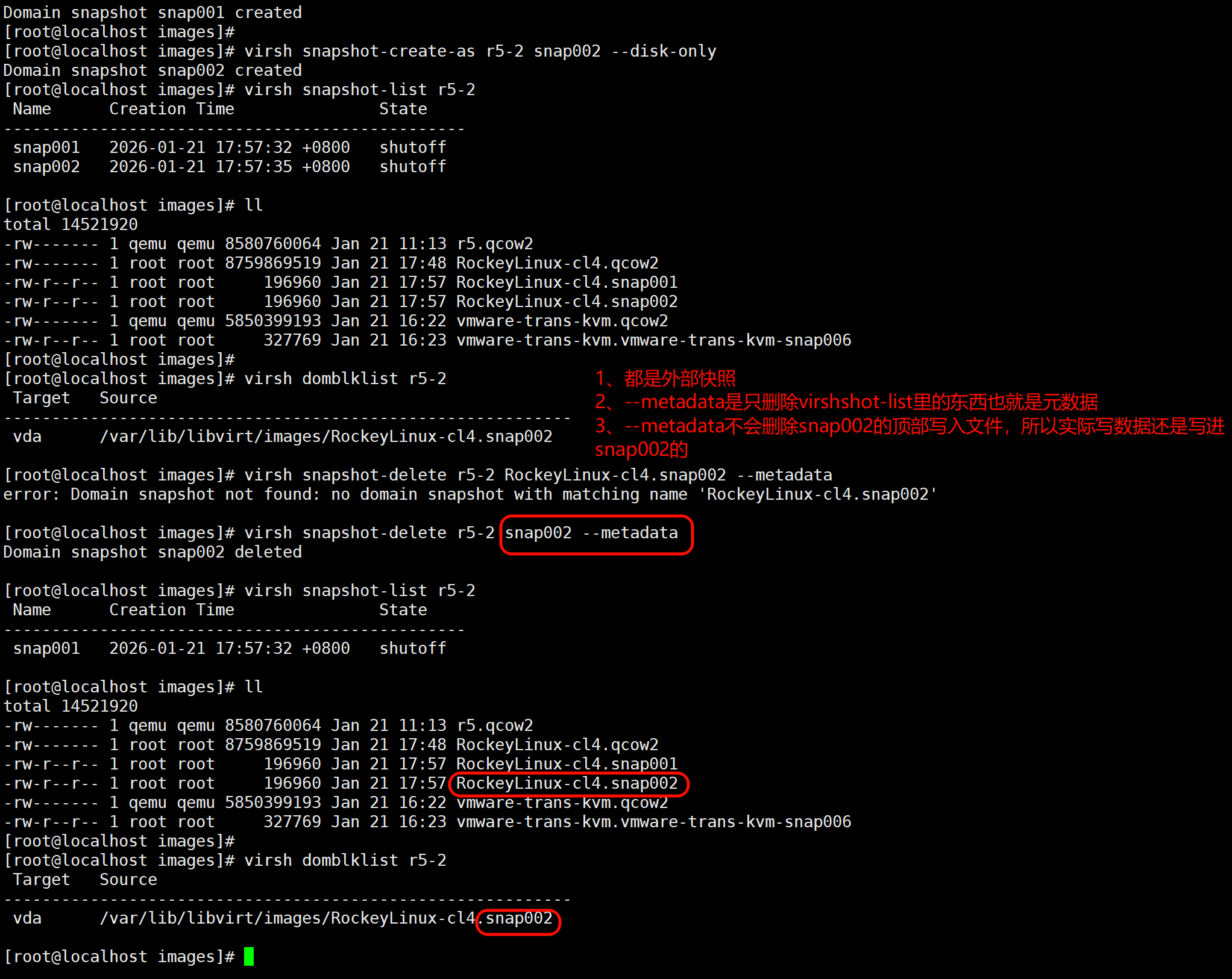 image-20260121180750652