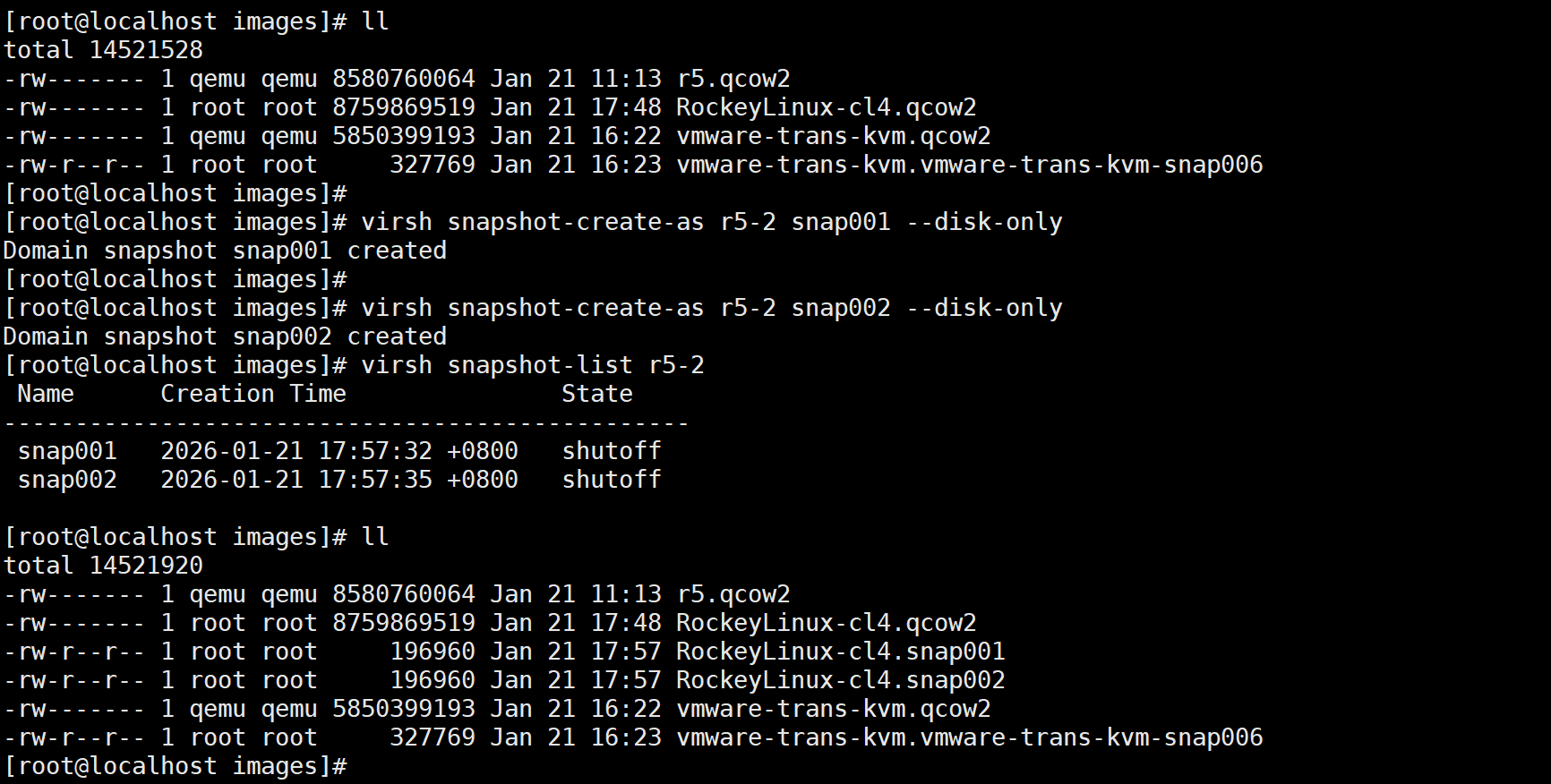 image-20260121180817954