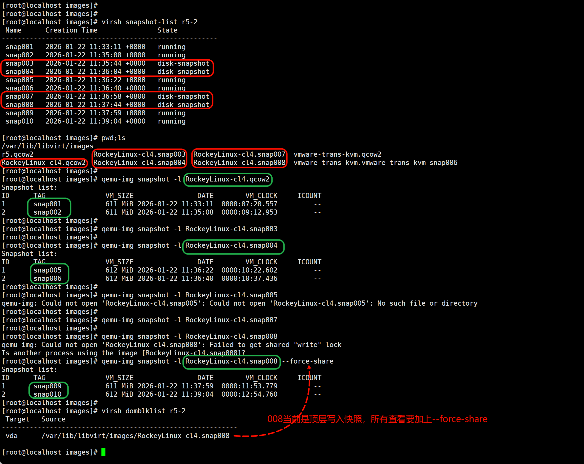 image-20260122114708142