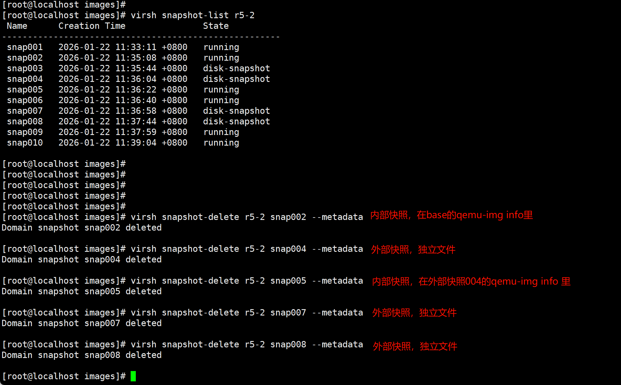 image-20260122133908395