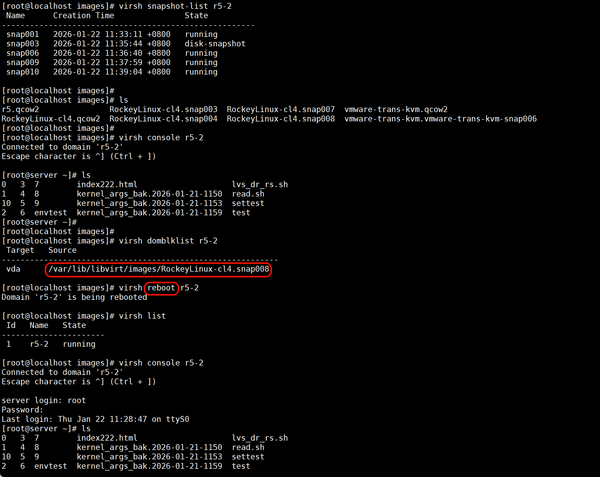 image-20260122134902848