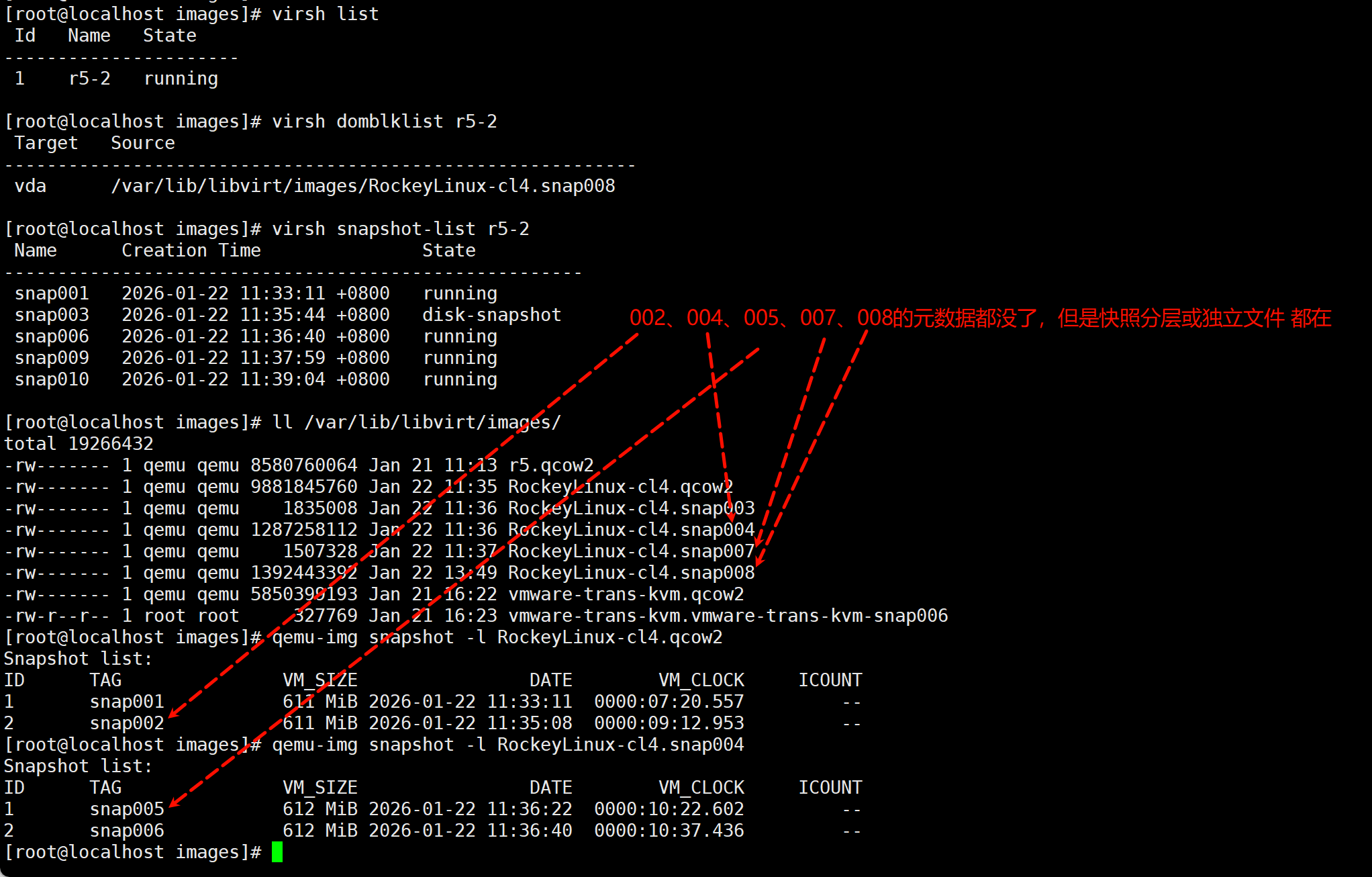 image-20260122135157126