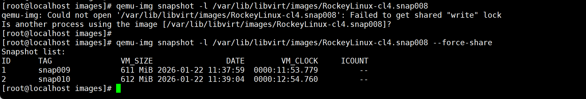 image-20260122135914436