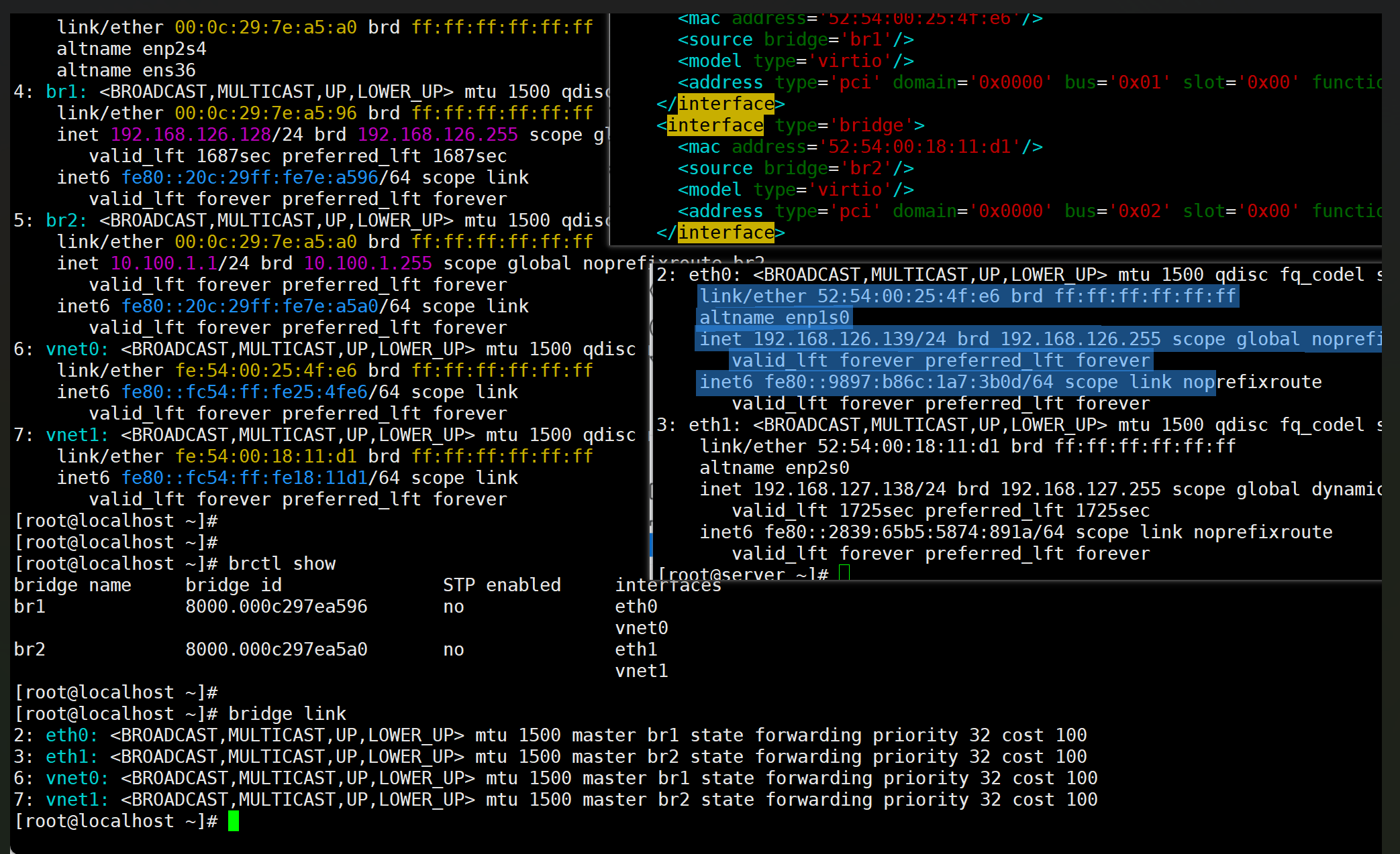 image-20260123161642862