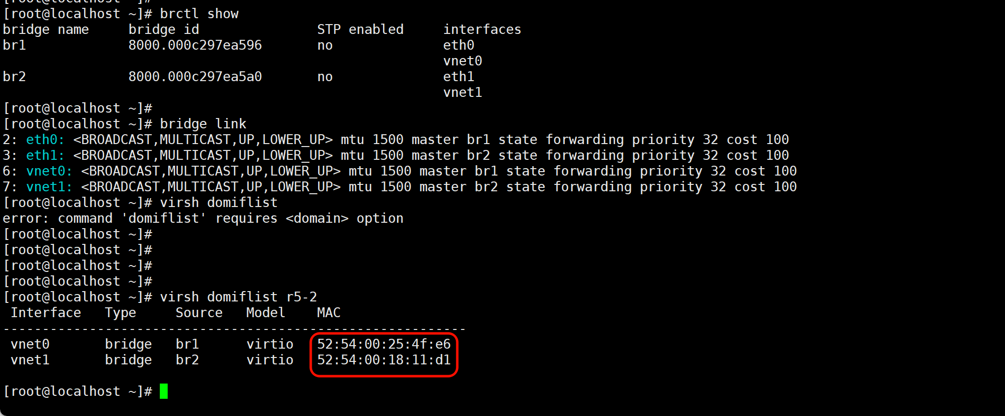 image-20260123161703729