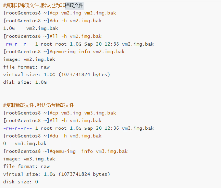 image-20260108150341412