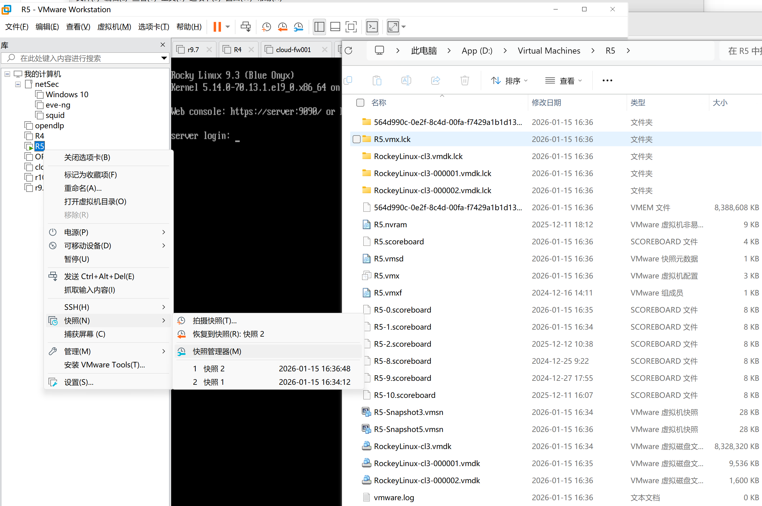 image-20260115163904597