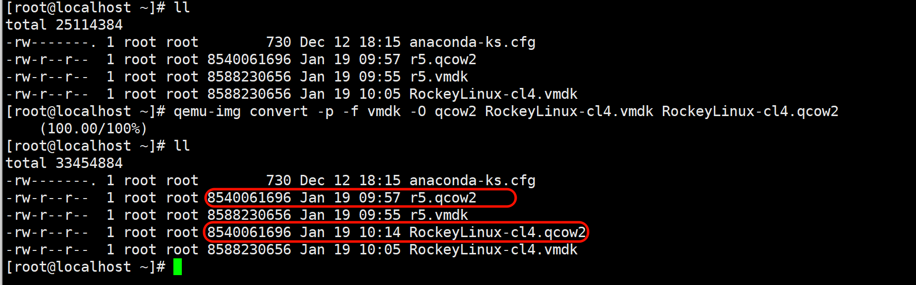 image-20260119101439624