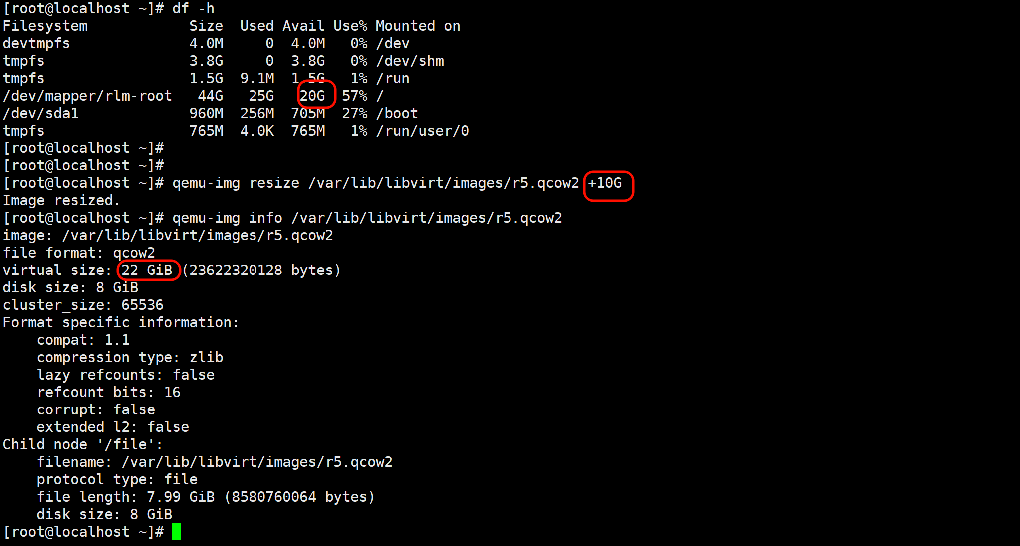 image-20260121100219011