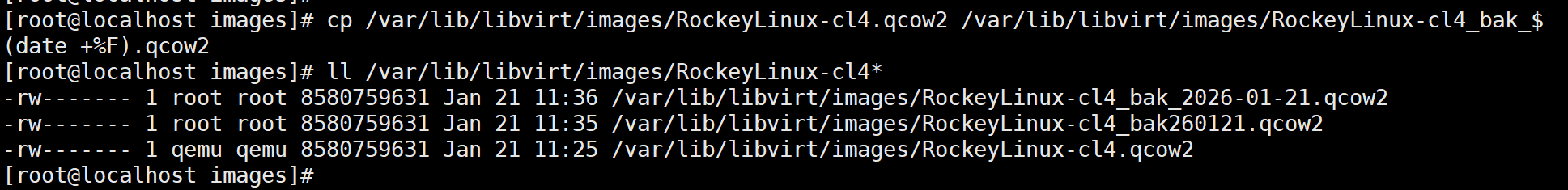 image-20260121142613811