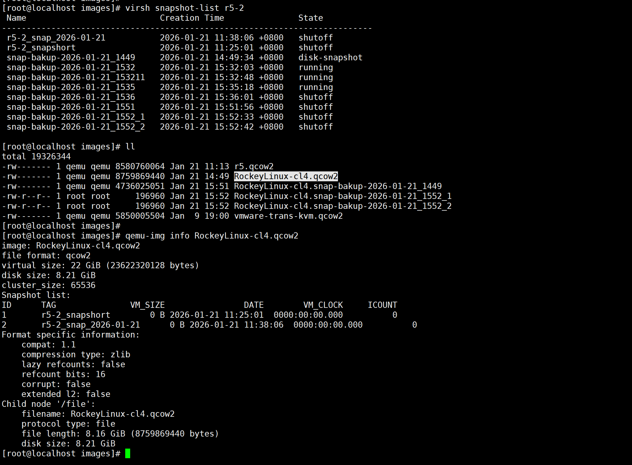 image-20260121155637212