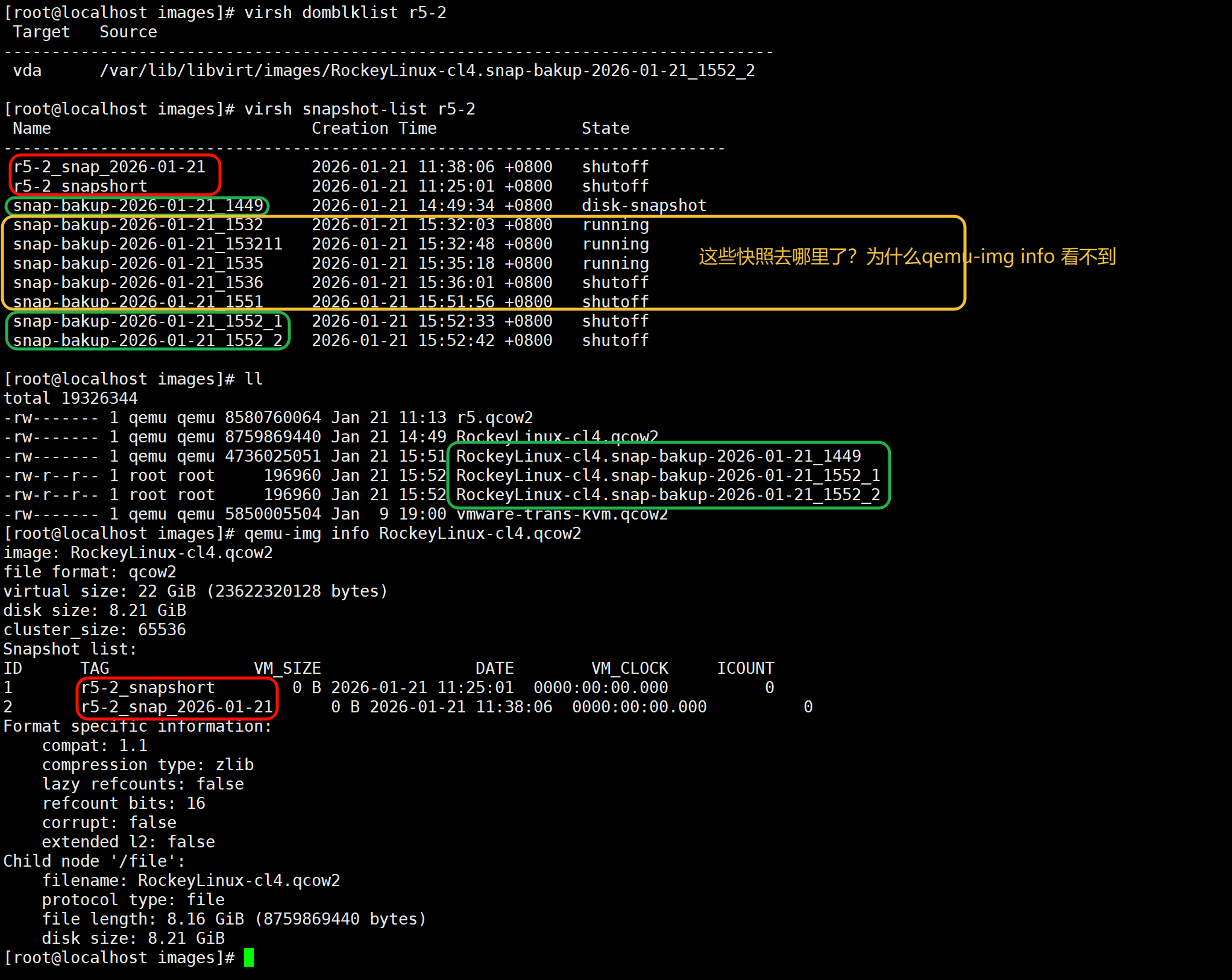 image-20260121160522781