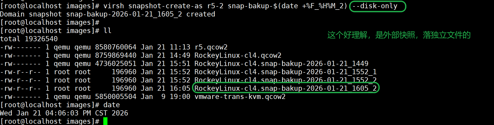 image-20260121160711371