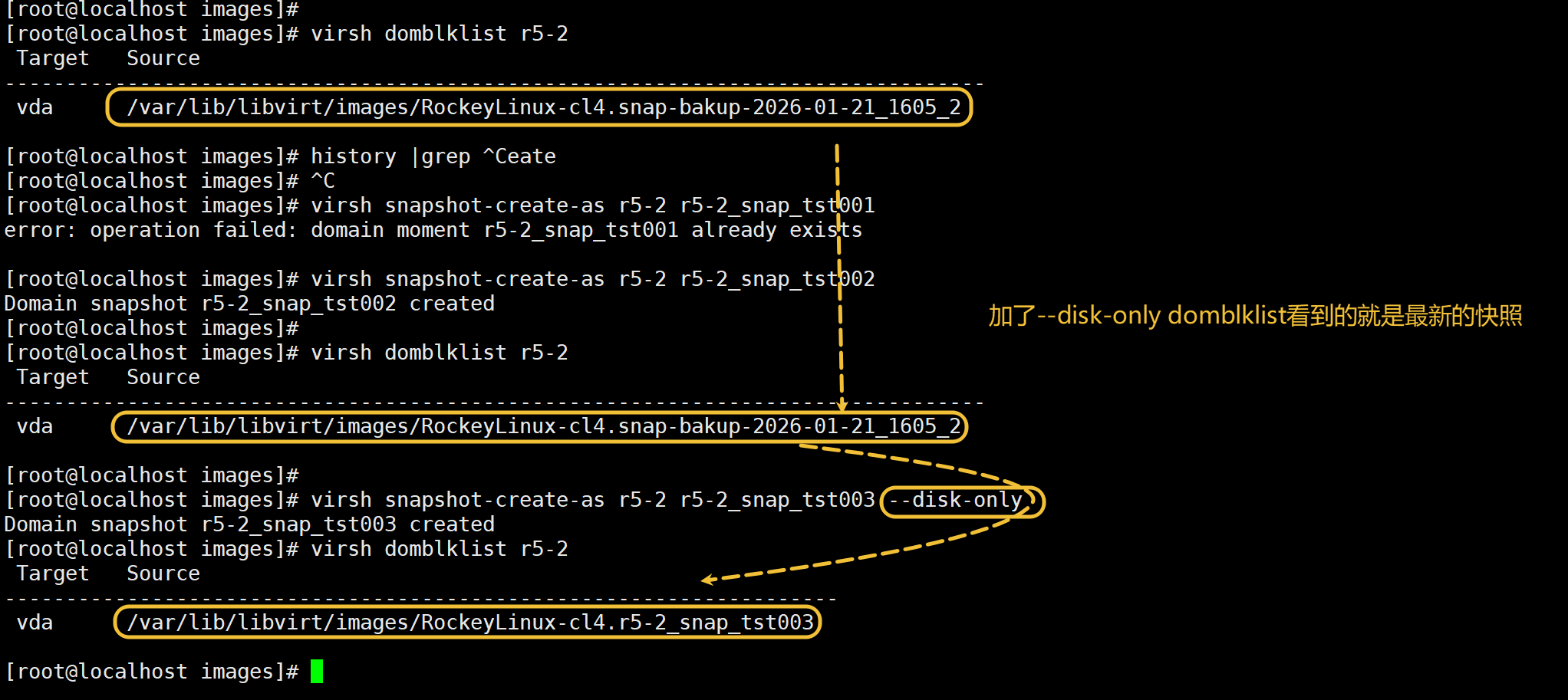 image-20260121164123935