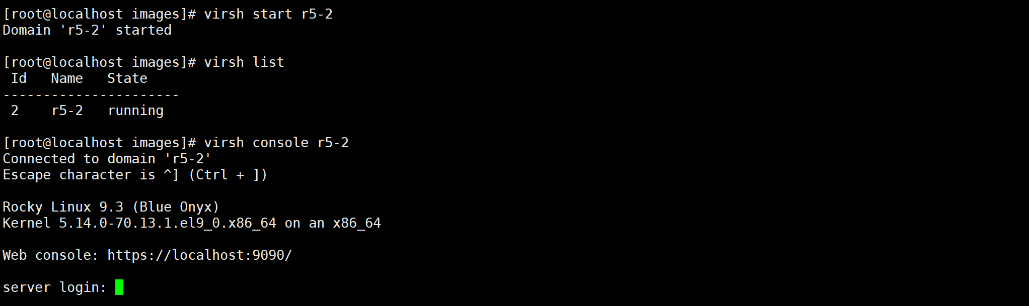 image-20260121174545250