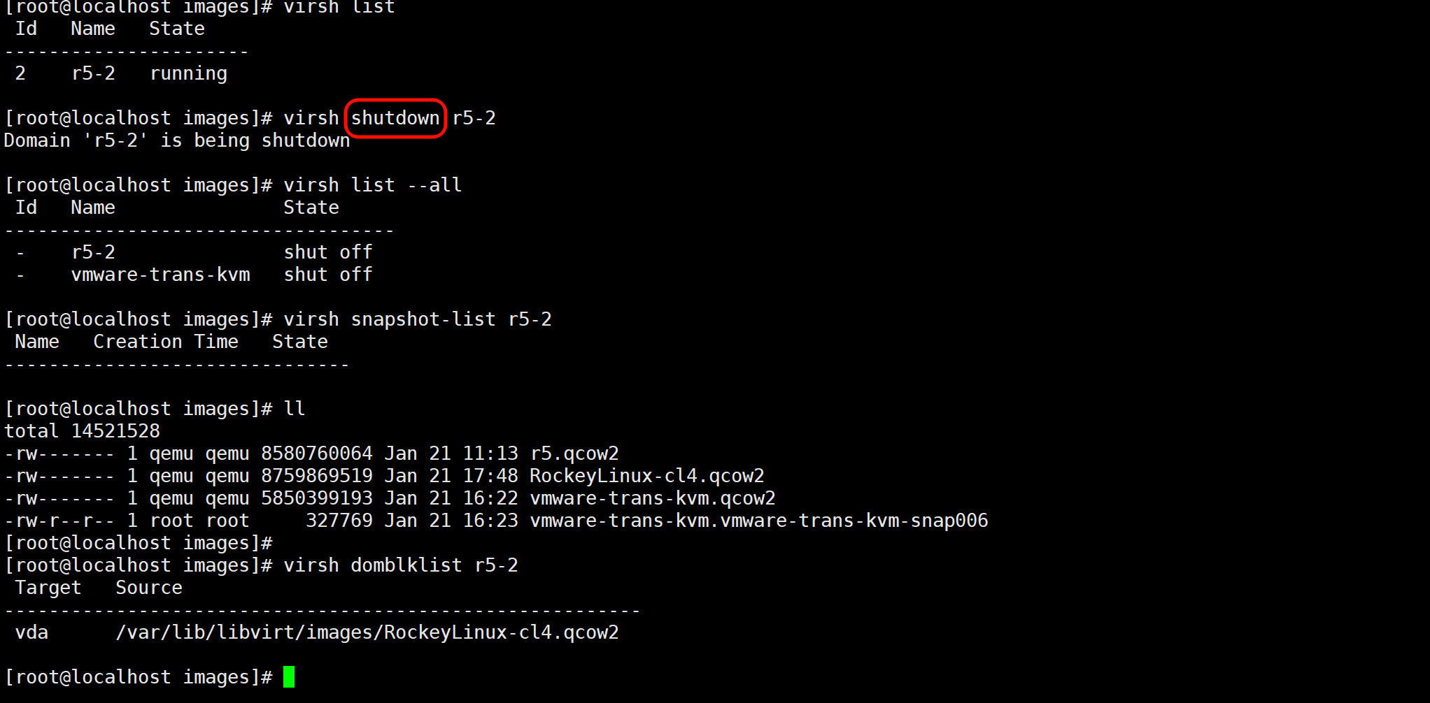 image-20260121174848421