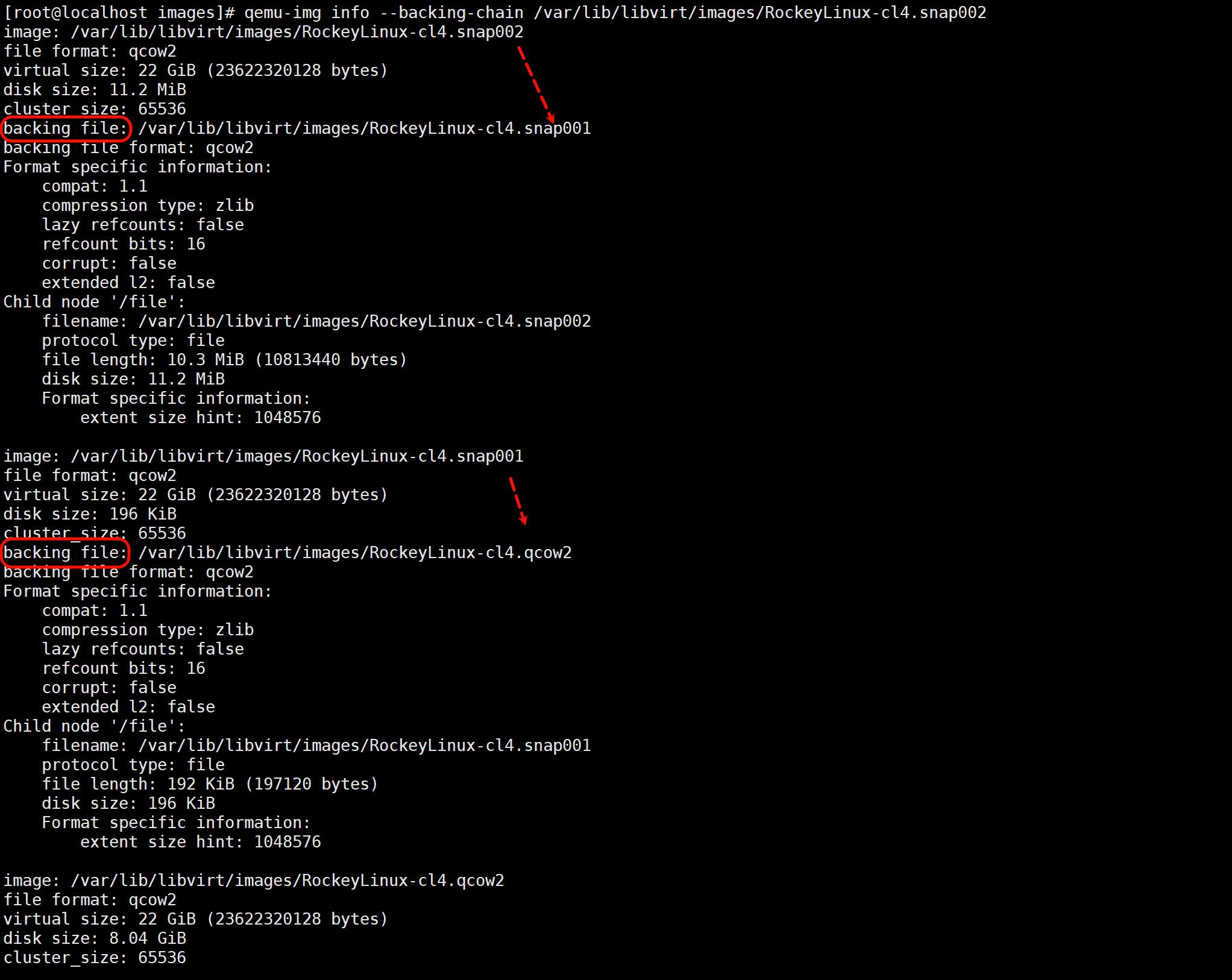 image-20260121181554832