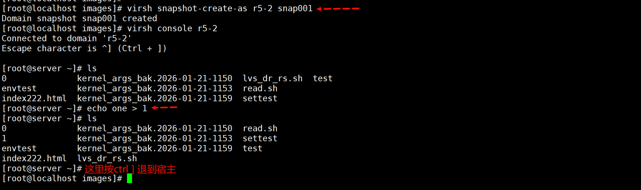 image-20260122113451665