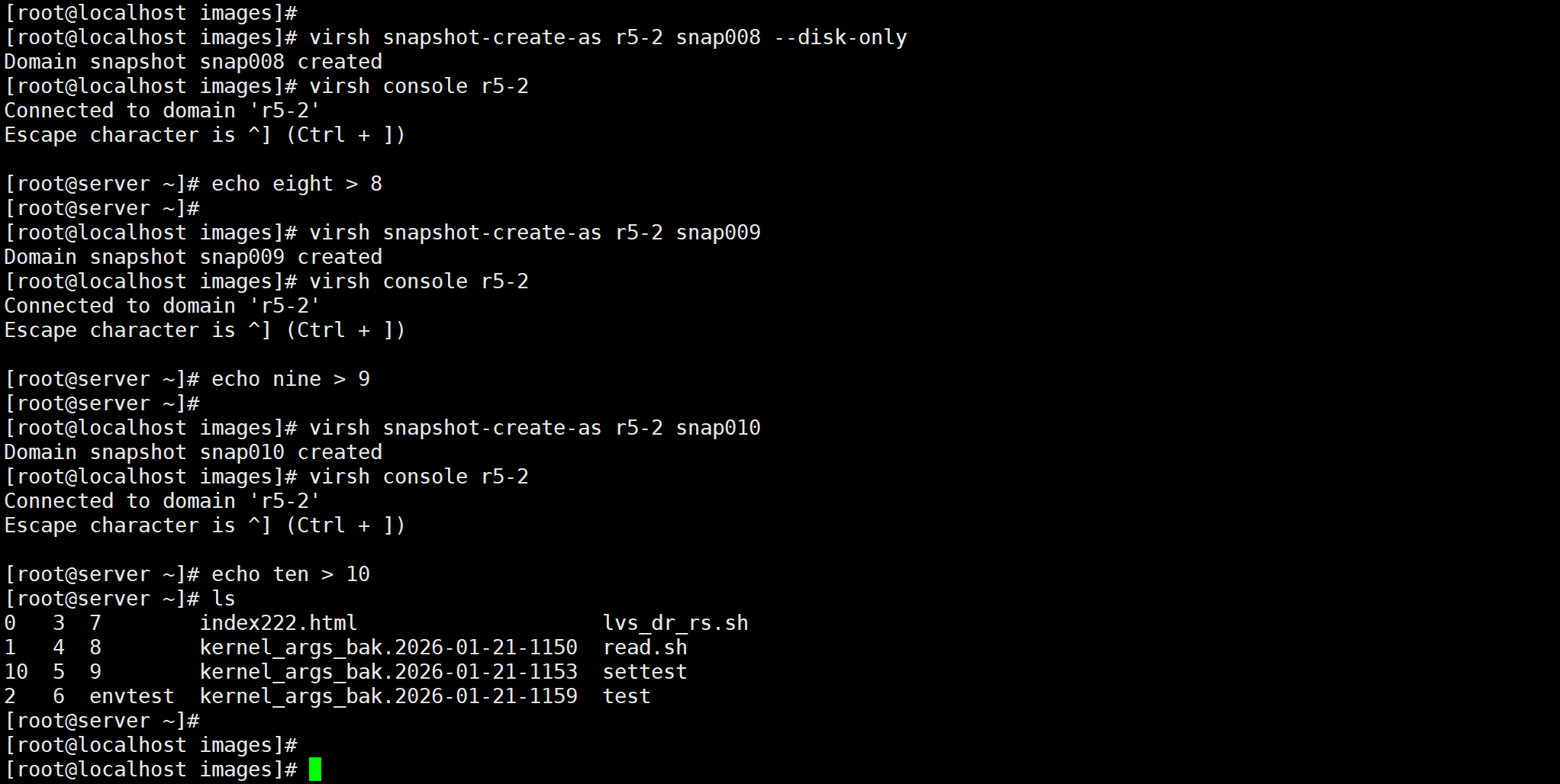 image-20260122113952526