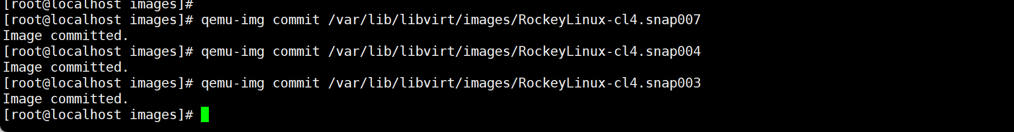 image-20260122142207284