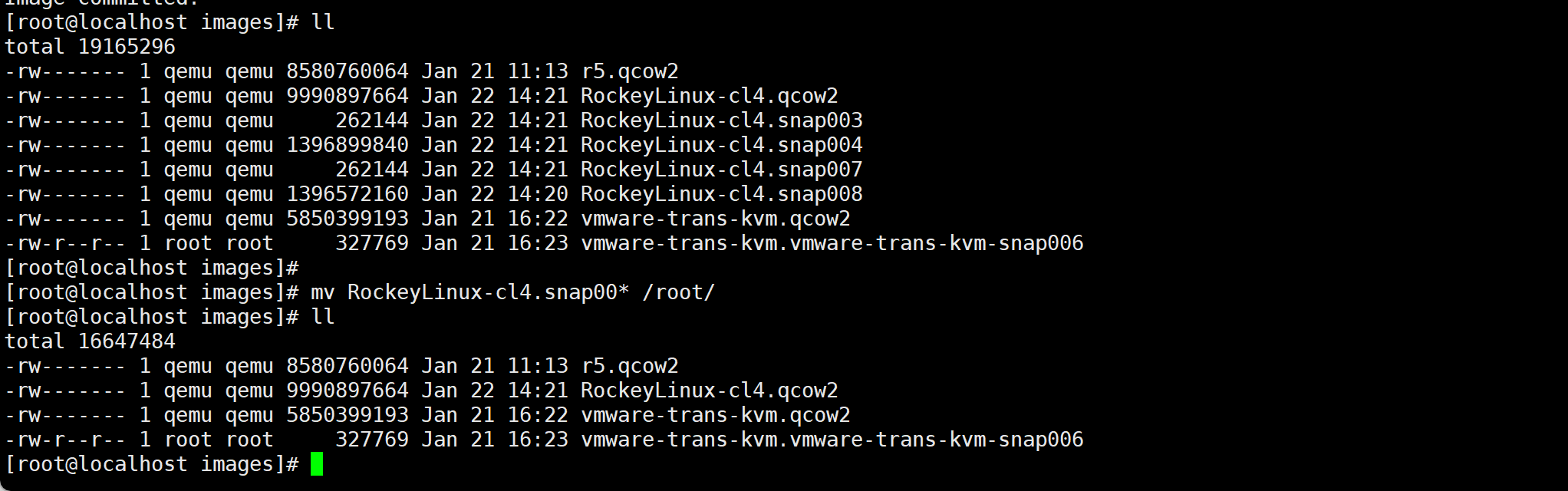 image-20260122142609675