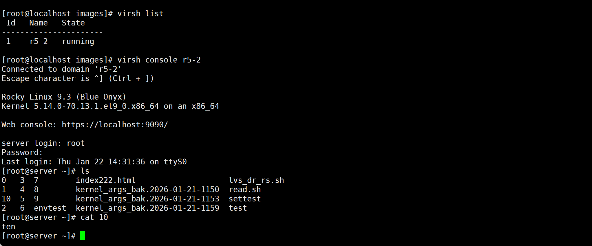 image-20260122143308753