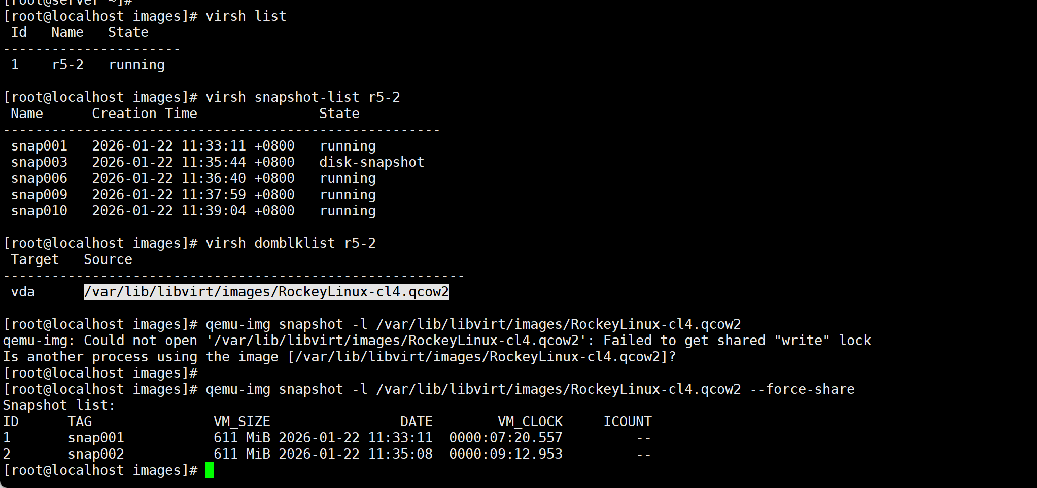 image-20260122143827549