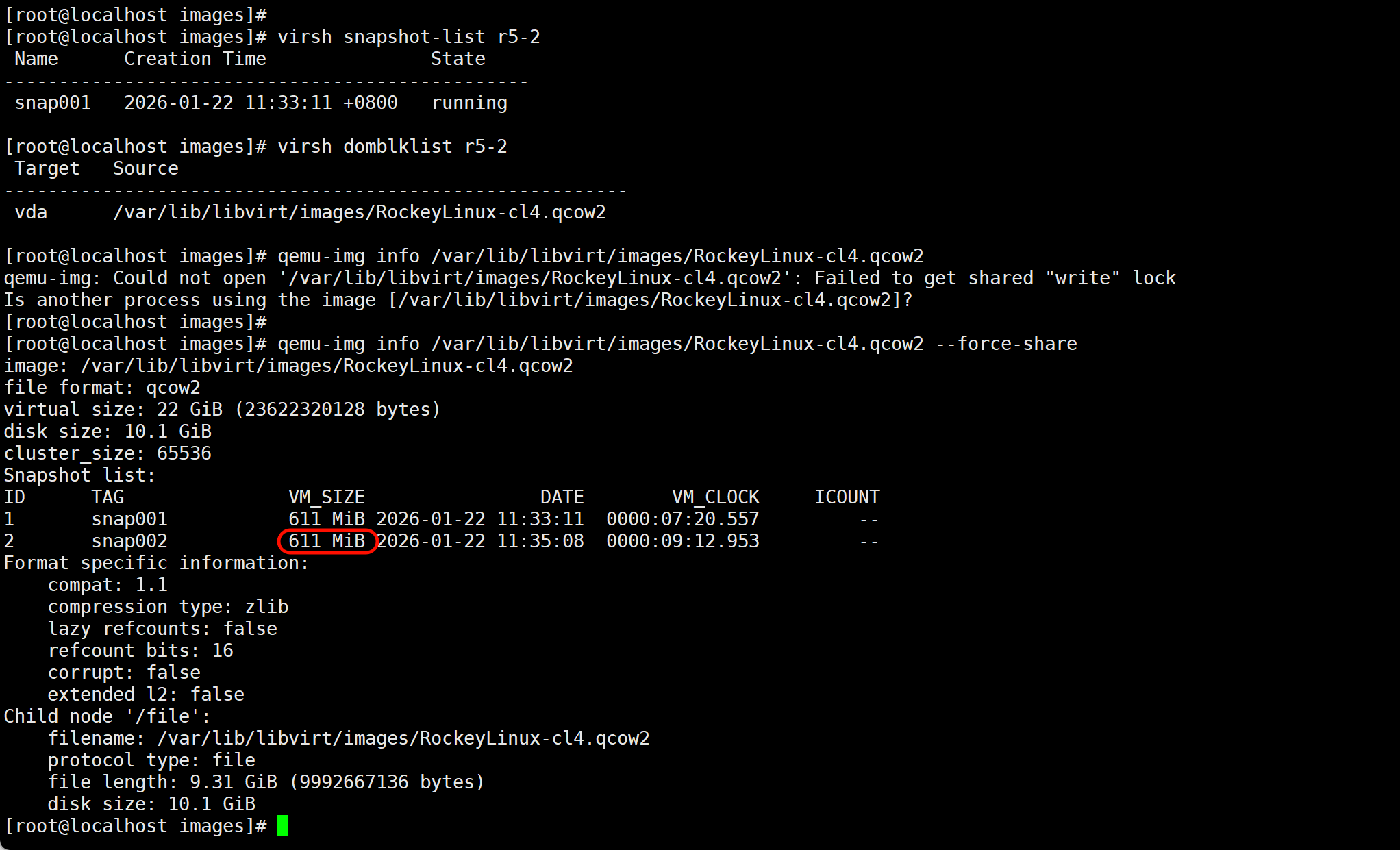 image-20260122144334701