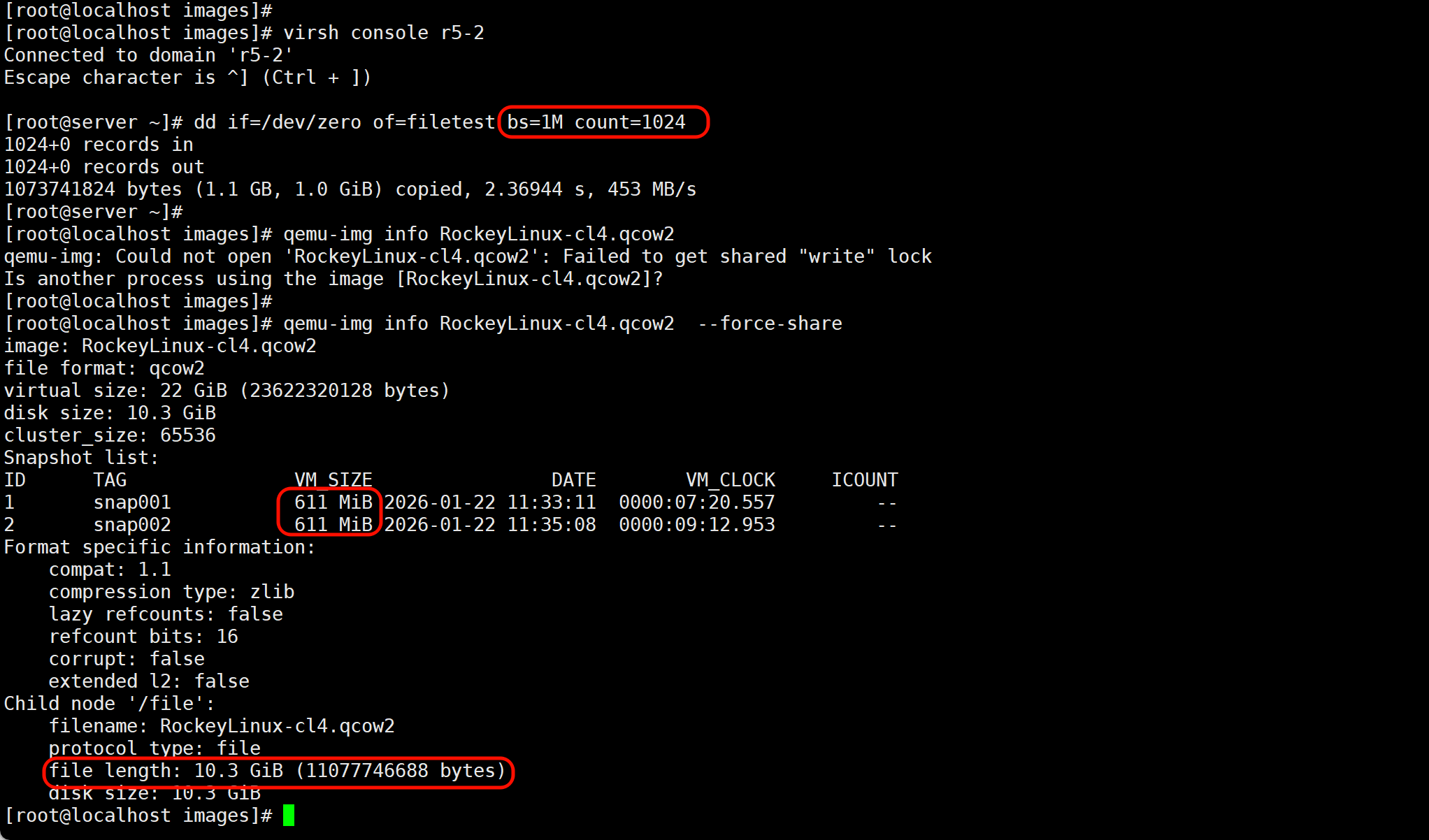 image-20260122150100710