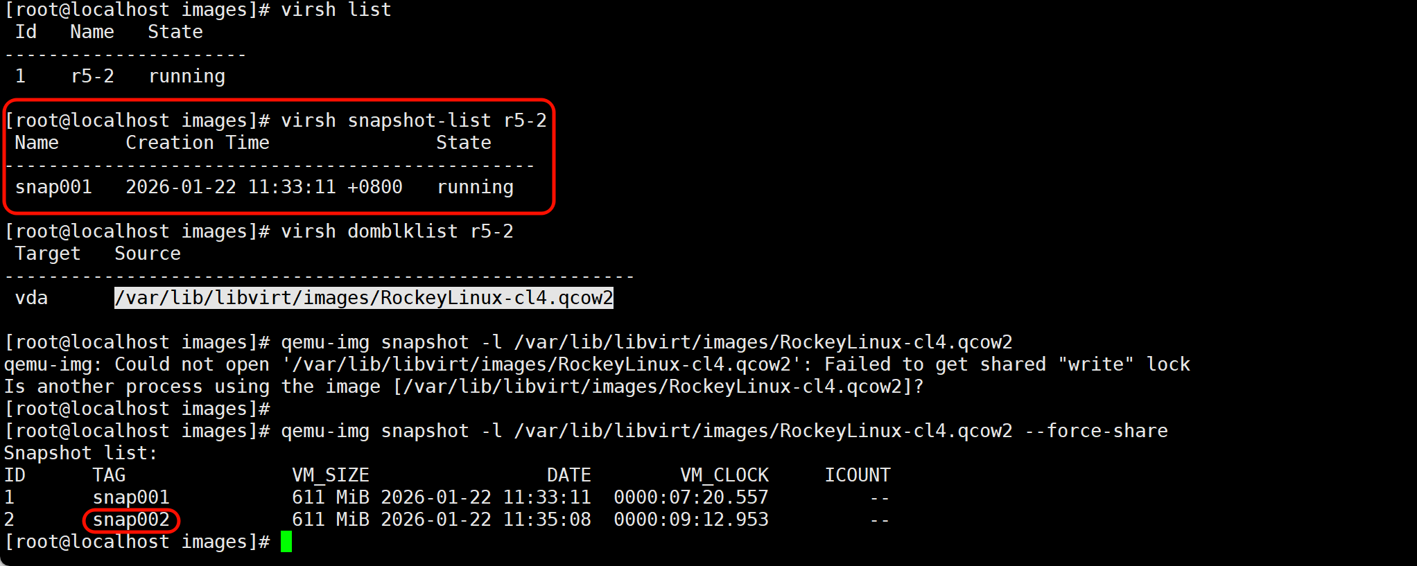 image-20260122150515253