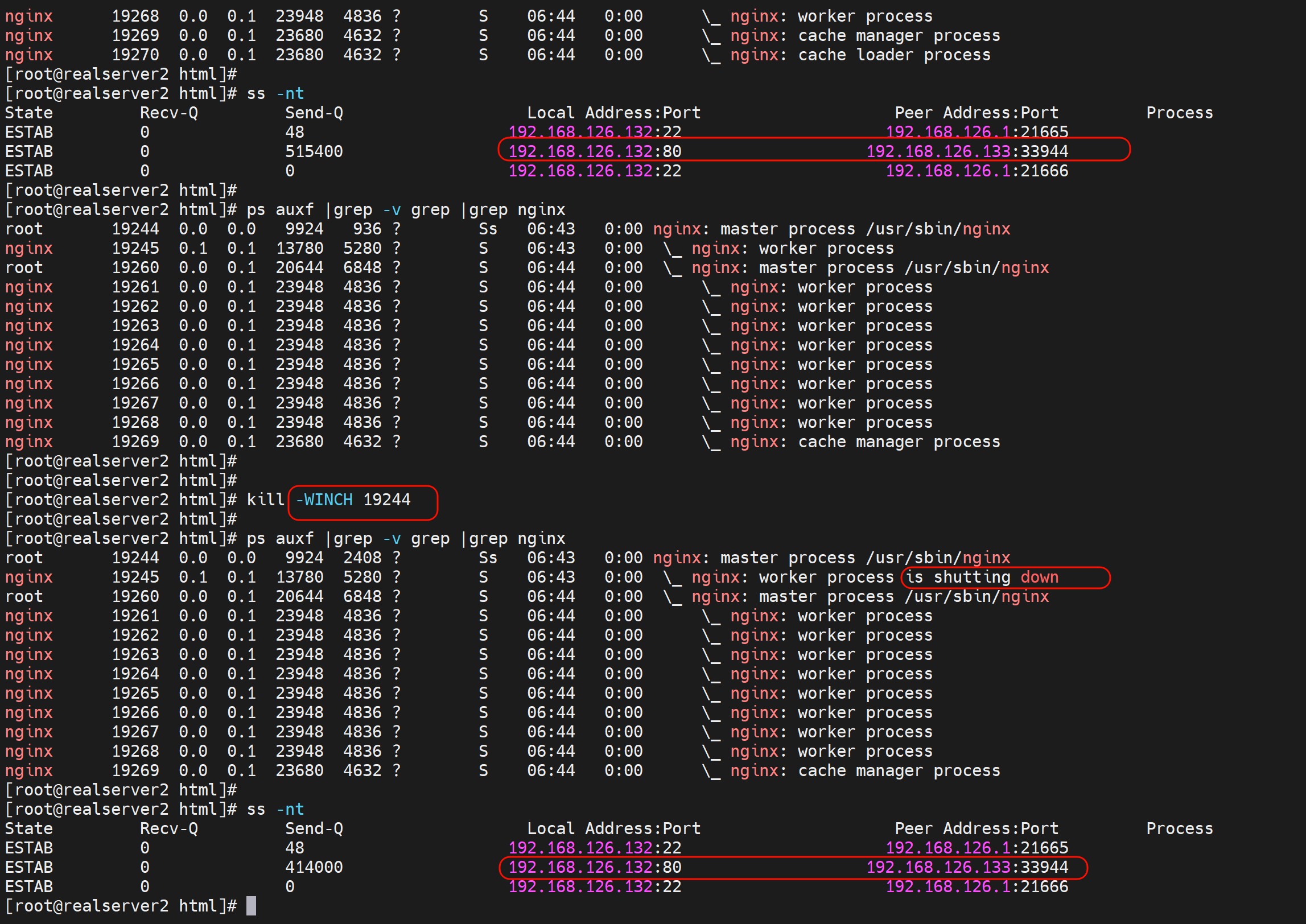 image-20240814144804029