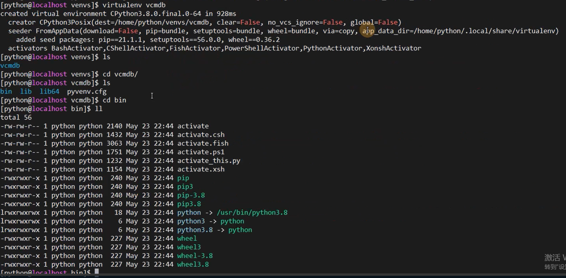 image-20250117141504183