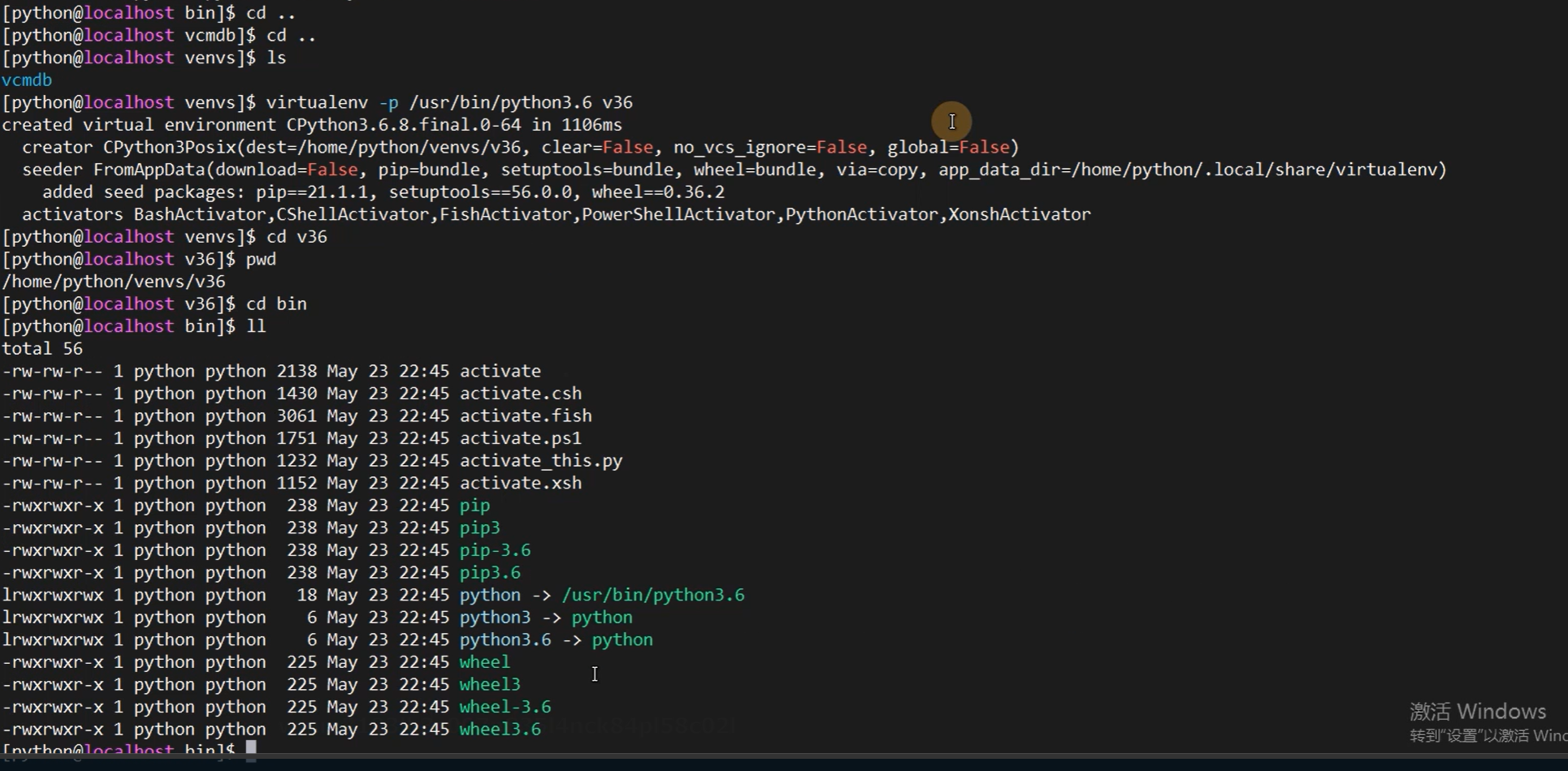 image-20250117141739041