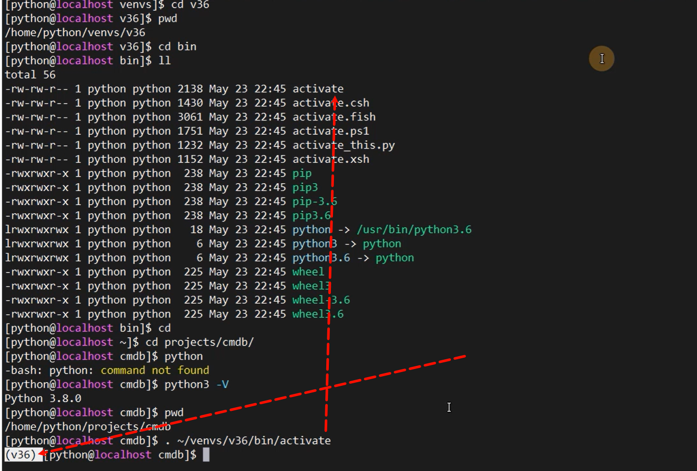 image-20250117142138929